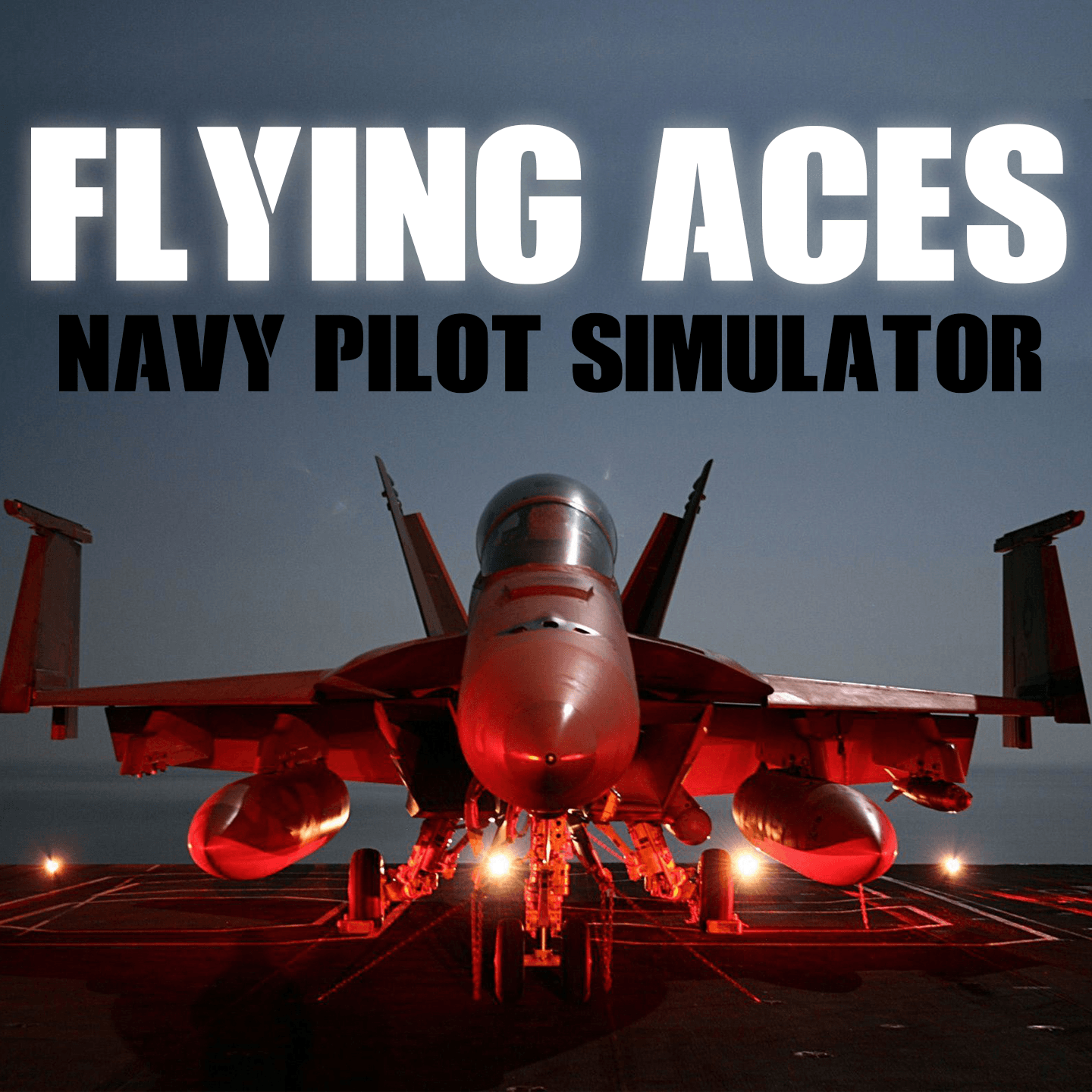 Flying Aces: Navy Pilot Simulator Bemutató